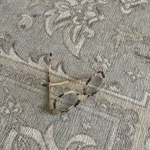 diff eyewear blue light glasses